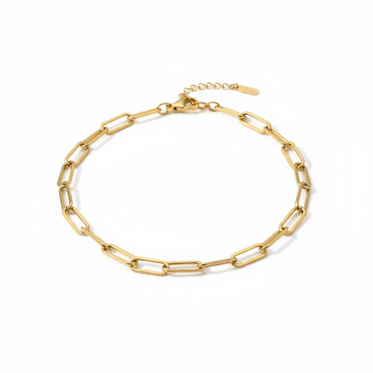 Paper Clip Chain